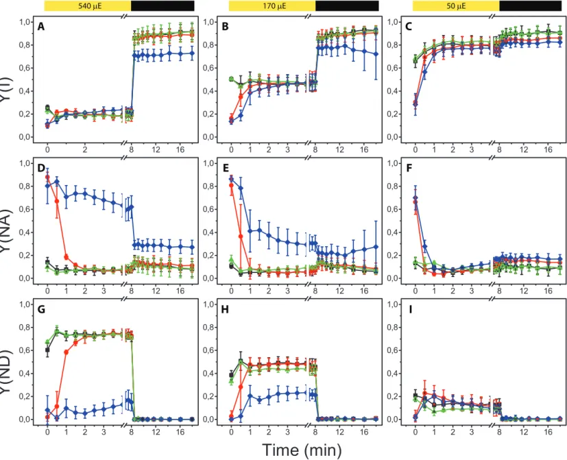 Figure 4. PSI eﬃciency in ﬂva pgrl1 KO plants. PSI eﬃciency was evaluated in diﬀerent plants using P700+ signal,  treating dark adapted plants for 8 minutes by an actinic illumination ((A, D, G) 540, (B, E, H) 175 or (C, F, I) 50 µmol  photons m-2 s-1) fol