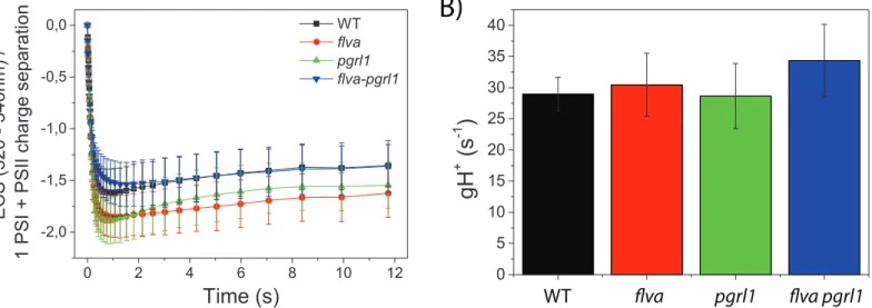 Figure 7. Proton motive force generation. Relaxation of ECS signal in the dark after a saturating light was switched oﬀ was  exploited to evaluate plants capacity to generate a proton motive force