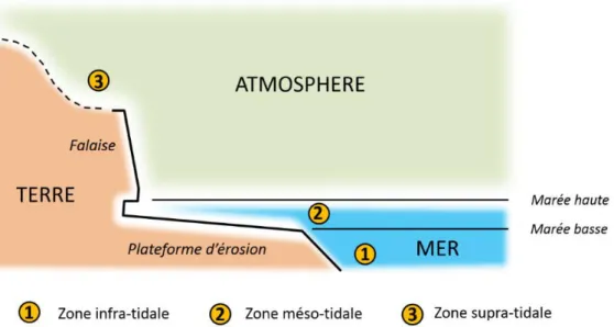 Figure  2. Physiographie côtière des unités tidales de l’interface Terre / Mer / Atmosphère  (modifié de Guilcher, 1965)