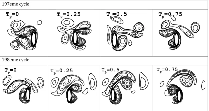 Fig.  5.16 -  Evolution de la vorticité au cours de deux cycles d’intermittence  consécutifs (197ieme et 198ieme cycle) pour le cas du rapport =0.3 