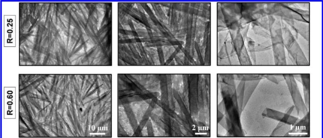 Figure 2: TEM images for C5 below T t  (T= 20°C) at two molar ratio: R=0.25 and R=0.60