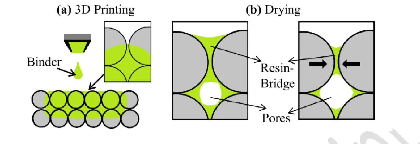 Fig. 1. The PBJ process showing, (a) the initial distribution of furan binder within the silica  96 