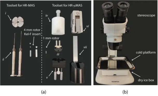 Figure 1. (a) Toolsets for (left) high‐resolution magic angle spinning (HR‐MAS) sample preparation  compared to (right)  high‐resolution  micro‐magic  angle spinning  (HR‐μMAS)  with  details  of  ZrO 2   rotor of different sizes and packing tools. (i) Cla