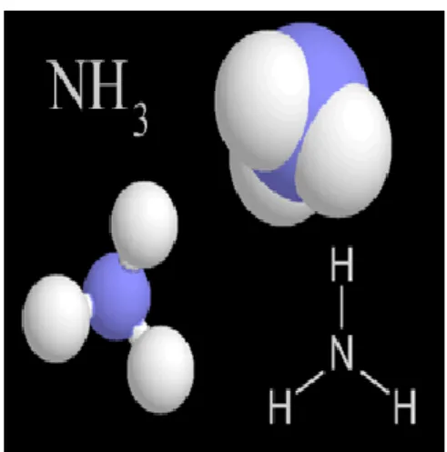 Figure I.2 : molécule de NH 3