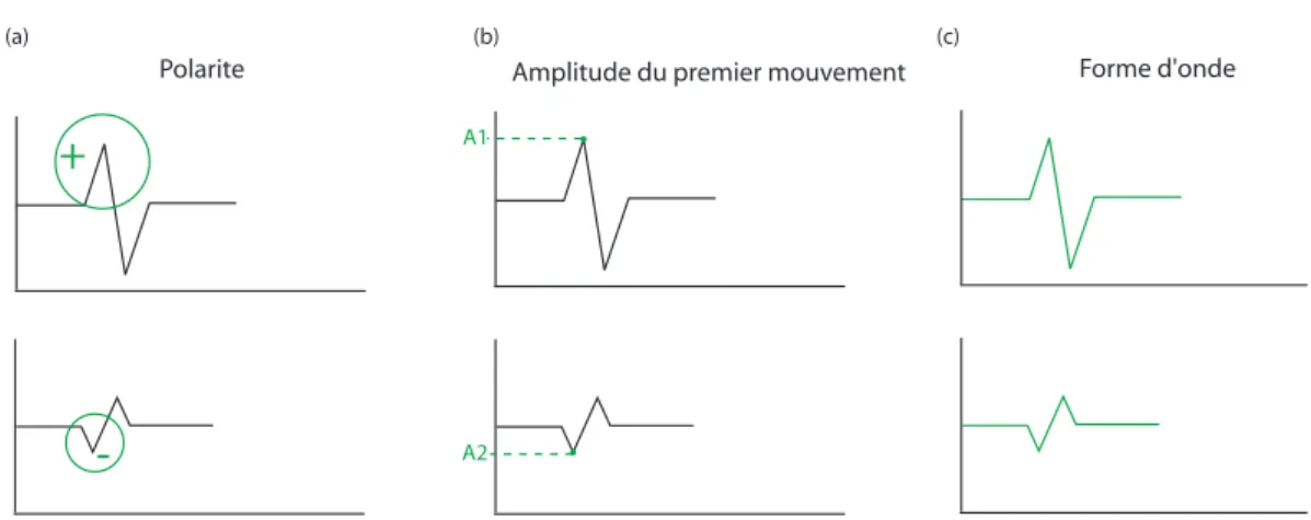 Figure 2.16: Observables issus des sismogrammes et inversés pour la détermi- détermi-nation d’un mécanisme au foyer : (a) polarité (sens) du premier mouvement, (b) amplitude du premier mouvement, (c) forme d’onde.