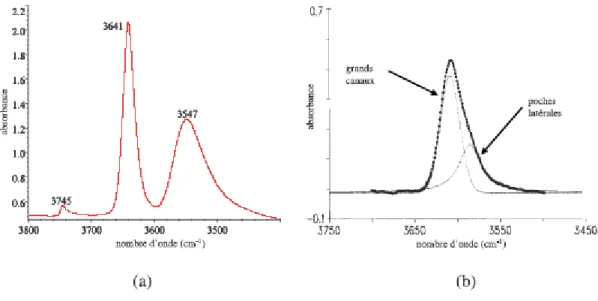 FIG. 1.2 – Spectres IR de zéolithes HFAU(a) et HMOR (b) :  (a) bandes correspondant aux 