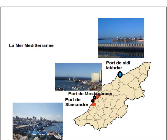 Figure 10: Situation des ports de la wilaya de Mostaganem. 