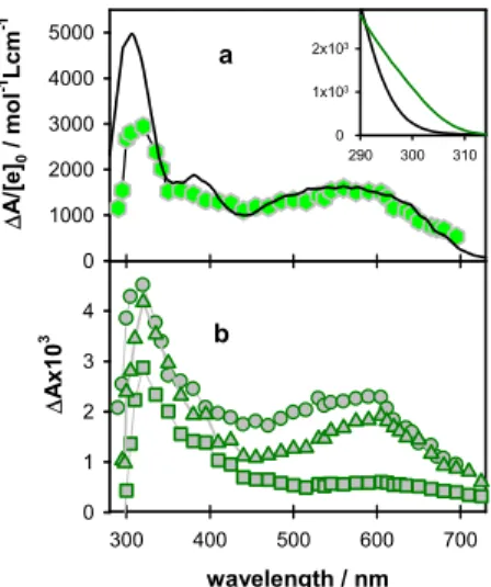 Figure 7. Dynamics of deprotonated guanine radicals observed at 500 nm in single (a) and double (b)  strands