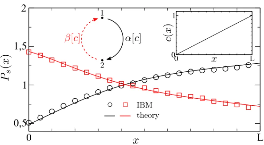 Figure 3.3 – The motility response of MR – controlled by NCS motif 1 as shown, cf. Fig- Fig-ure 3.1 – to an external field c(x) = x/L (see inset)