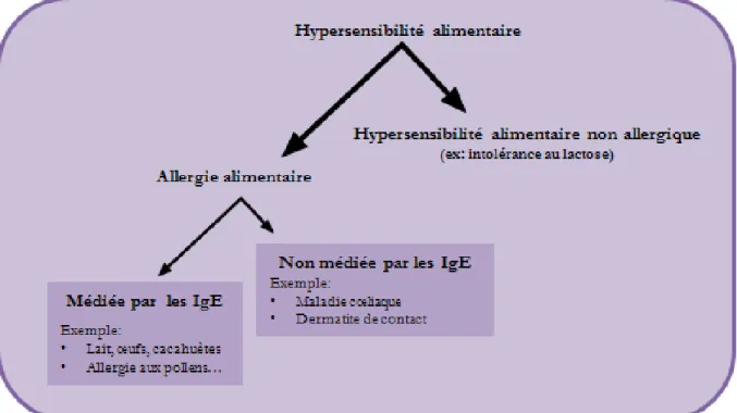 Figure 1 : Classification des hypersensibilités alimentaires (Johansson et al., 2004).