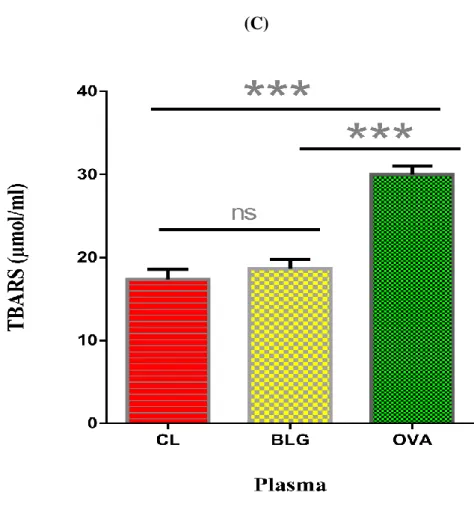Figure 4 : Teneur en TBARS plasmatique des souris Balb/c immunisées à la BLG ou à  l’OVA (n=6)