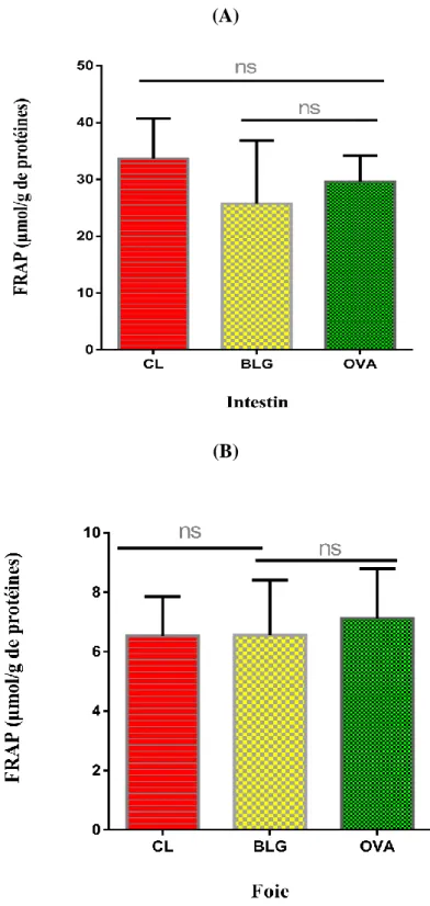 Figure 5 : Effet de la sensibilisation à la BLG ou à l’OVA sur le pouvoir réducteur hépatique  (A) et intestinal (B) des souris Balb/c (n=6).