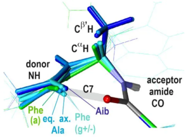Fig.  6  : Comparative description of the HB approach  in  -turns  of  the  Ala,  Phe  (gauche+/-,  anti)  and  Aib  series,  obtained  by  superimposing  the  HB  acceptor  amides