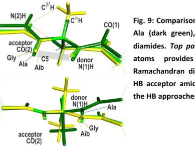 Fig. 9: Comparisons of the C5 extended conformations of  Ala  (dark  green),  Gly  (green)  and  Aib  (yellow)  model  diamides