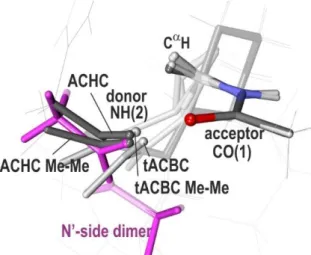 Figure  11:  Comparisons  of  the  H-bonds  of  the  tACBC (dark grey; C8 H-bond) and ACHC (grey; C9  H-bond)  diamide  models  with  the  N’-side  dimer  of  MAA  (magenta),  which  presents  a  HB  approach  on  the  same  side  of  the  acceptor