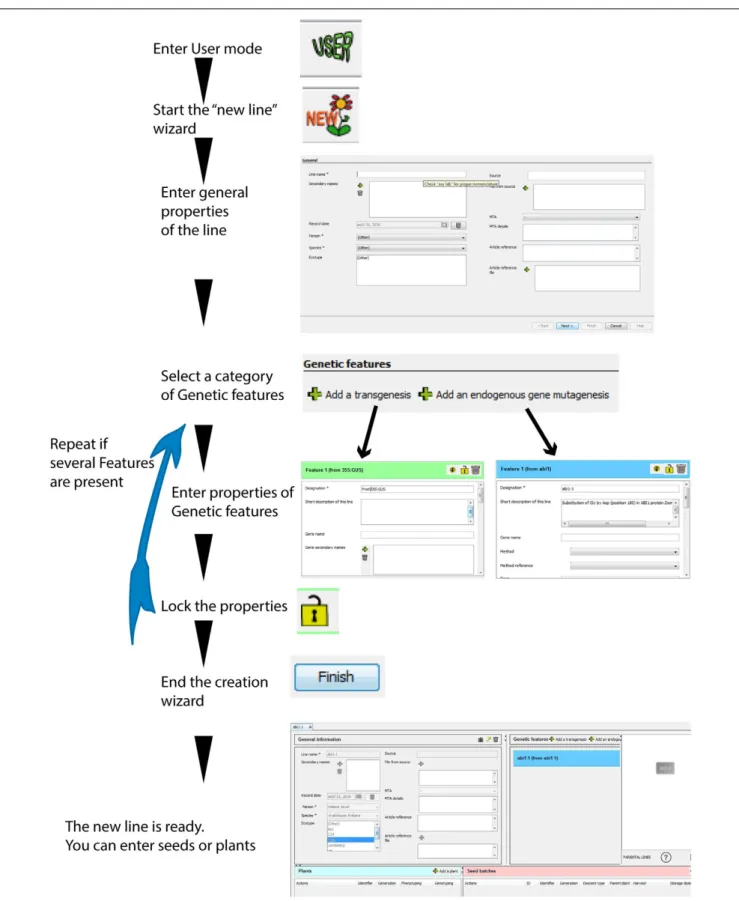 FIGURE 3 | Principle steps in the new plant line wizard. A new plant line can be recorded de novo following these successive steps