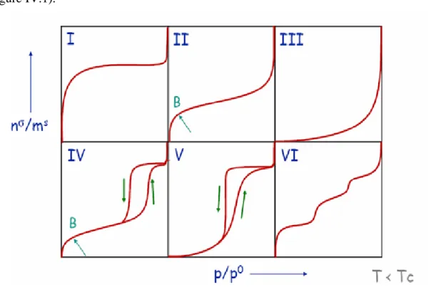 Figure IV.1 : Classification des isothermes d’adsorption observées pour les systèmes. 