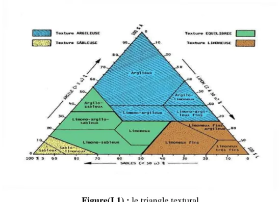 Tableau I.1 : Echelle granulométrique de la texture du sol (U.S.D.A., 1996). 