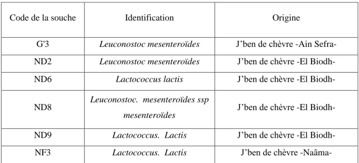 Tableau 3. Identification et origine des souches de bactéries lactiques. 