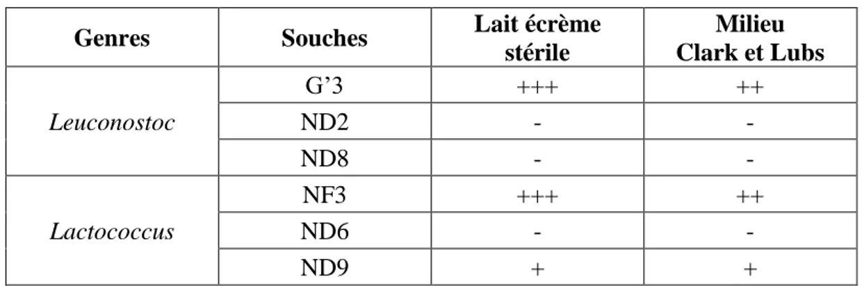 Figure 09. Résultats du test d’acétoїne dans le lait pour les trois souches ND9, G’3  (Lactococcus) et NF3 (Leuconostoc)  