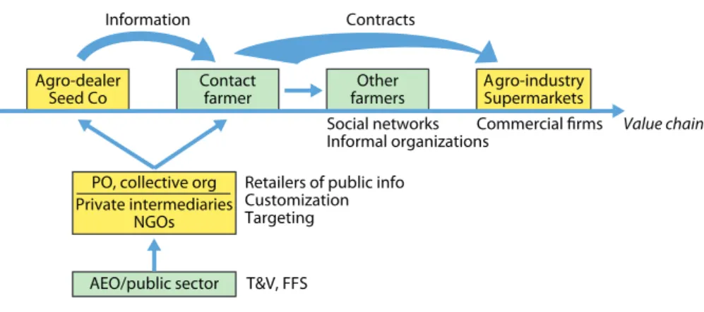Figure 1. Sources of information for learning in value chains
