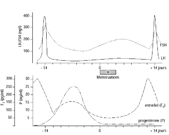 Figure N°5 : Modification de la concentration hormonale dans le plasma sanguin durant le cycle œstral        bovin (ROCHE ,2003)
