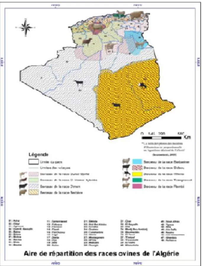 Figure N° 07 : Aire de répartition des races ovines en Algérie (CRSTRA, 2015) 