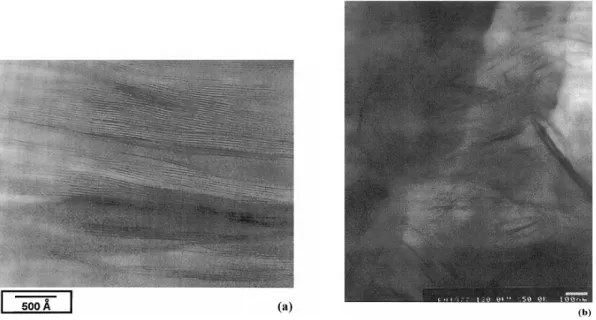 Figure 17. Micrographies obtenues par microscopie électronique en transmission pour des  nanocomposites à base de polystyrène : (a) nanocomposite intercalé et (b) nanocomposite exfolié  29