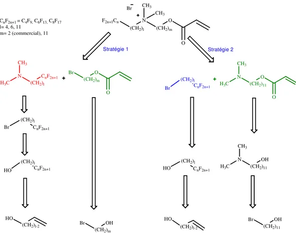 Figure 29. Stratégie de synthèse des tensioactifs polymérisables fluorés  