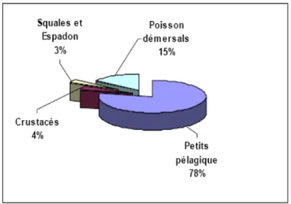 Figure 3 : Répartition de la production nationale par groupe de poisson (Source CNDPA, 1999).