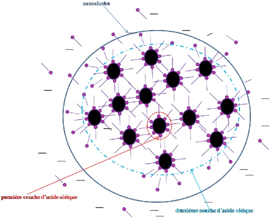 Fig. 8. Schéma de nanocluster