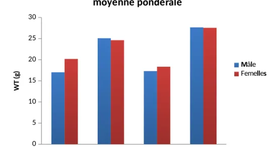 Figure 19 : Evolution du poids de la sardine des deux sites.     