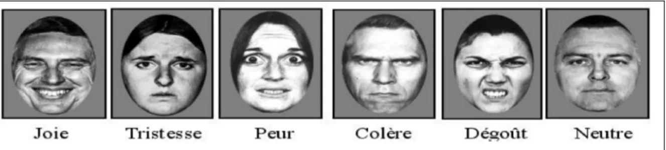 Figure 2. Photographies des émotions faciales (issues d’Ekman et Friesen, 1975) 