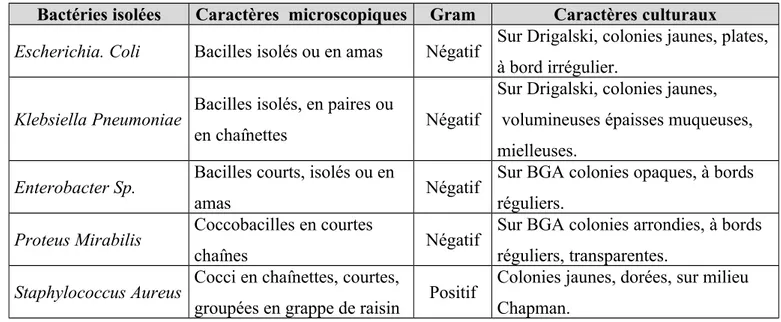 Tableau 6  :  Caractères morphologiques et culturaux des bactéries responsables de la lithiase d’infection [43]