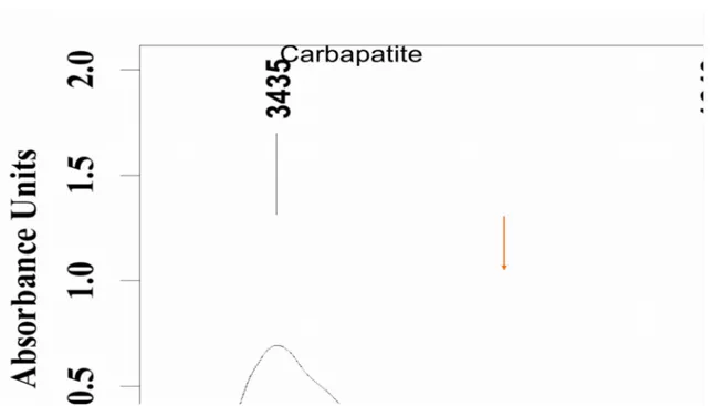 Tableau 1: Principales fréquences de vibrations de carbapatite (spectre de référence 1).