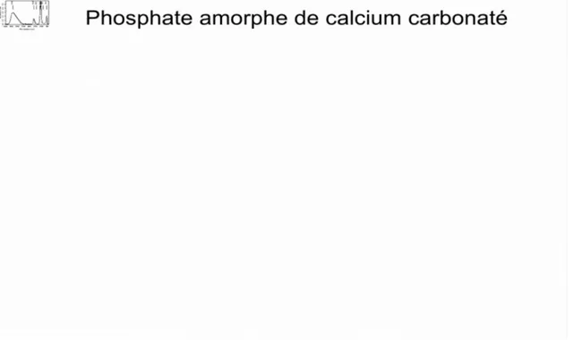 Tableau 3: Principales fréquences de vibrations du PACC (spectre de référence 3).