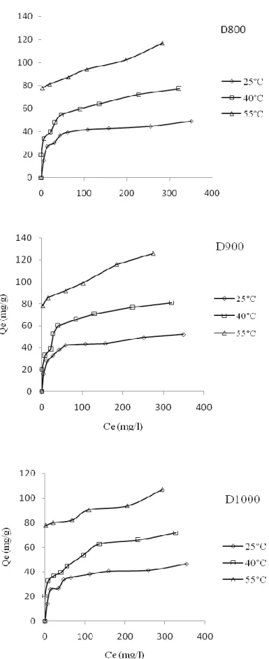 Figure III.8b: Isothermes d’adsorption de RB5 par D800, D900 et D1000 
