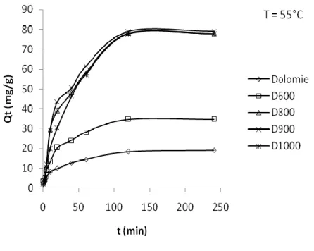 Figure III.3:  Cinétique d’élimination de RB5 par les différents solides. Conditions expérimentales :                                               T= 55 °C; pH = 6,9; [RB5] 0  = 80 mg/L; volume de solution = 20 mL; masse d’adsorbant = 20 mg