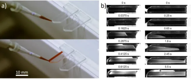 Figure 1. (a) Blood injection inside (unembedded reagents) biochips; (b) Kinetics of blood draining inside biochips without embedded reagents (left) and with embedded reagents (right)