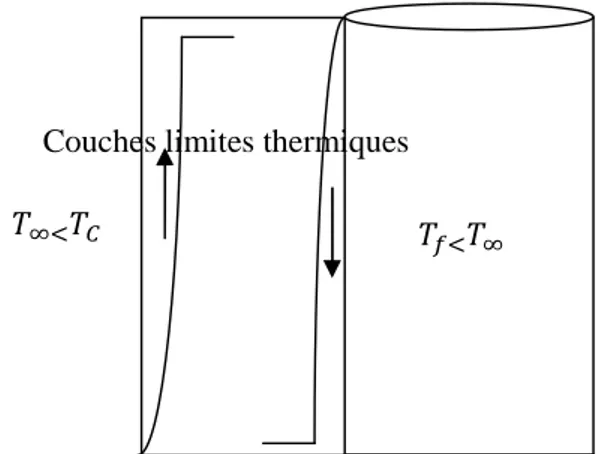 Fig. II.3. Ecoulement thermique de couches limites dans une cavité annulaire.