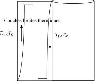Fig. II.3. Ecoulement thermique de couches limites dans une cavité annulaire. 
