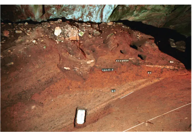 Figure 3 - Coupe est-ouest de la séquence mésolithique montrant la discordance sédimentaire  entre le niveau D3 et le niveau D2 (cliché : J.-E