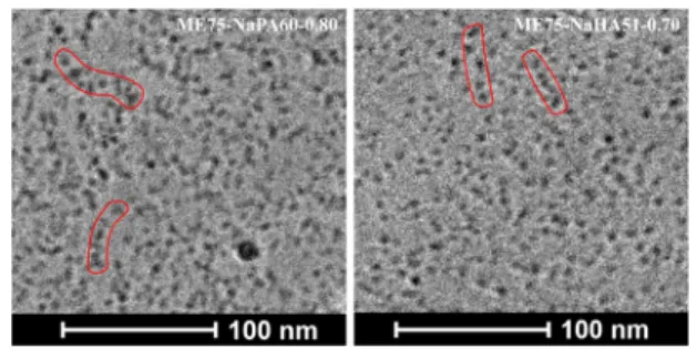 Figure 10. Holtzer plots of SANS data of NaHA, NaPA, and NaCMC mixed with small (left) and medium (right)-sized microemulsion droplets