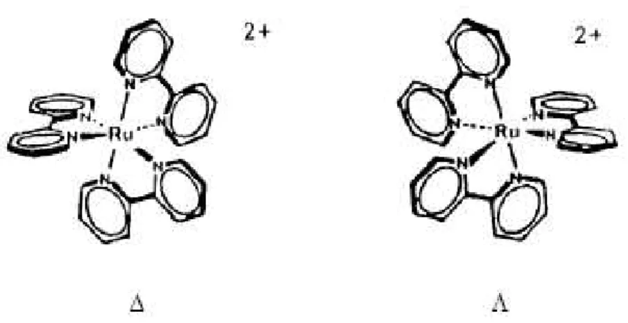 Fig. 1.2. la structure de l’ion  Ruthénium (II)  Tris-Bypiridy ]2 + et de son image dans un miroir : les deux ions ne sont pas superposables, ils sont chiraux [30].