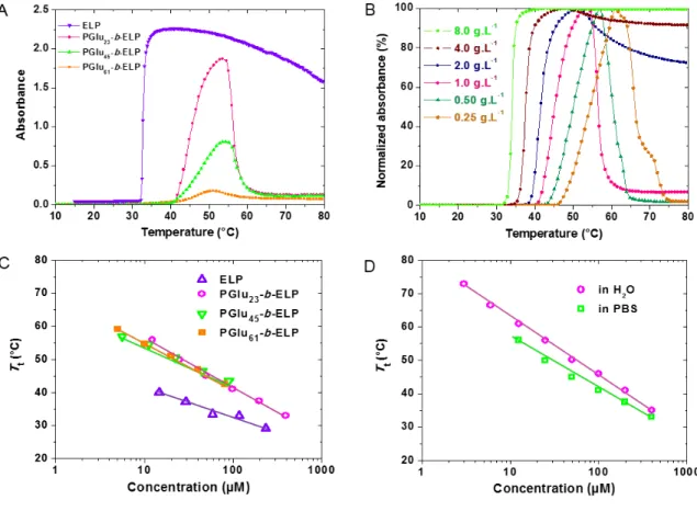 Figure 2.  Turbidity assay in PBS.  (A)  Evolution of absolute  absorbance with temperature of  solution of native ELP, PGlu 23 -b-ELP, PGlu 45 -b-ELP, and PGlu 61 -b-ELP at 1.g.L -1 