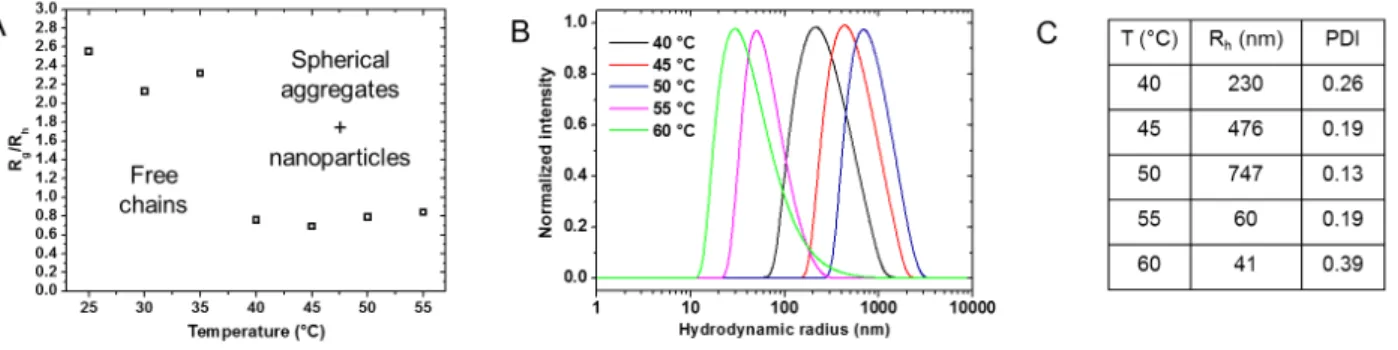 Figure 5. Light scattering results at various temperatures for PGlu 23 -b-ELP in PBS at 1 g.L -1 