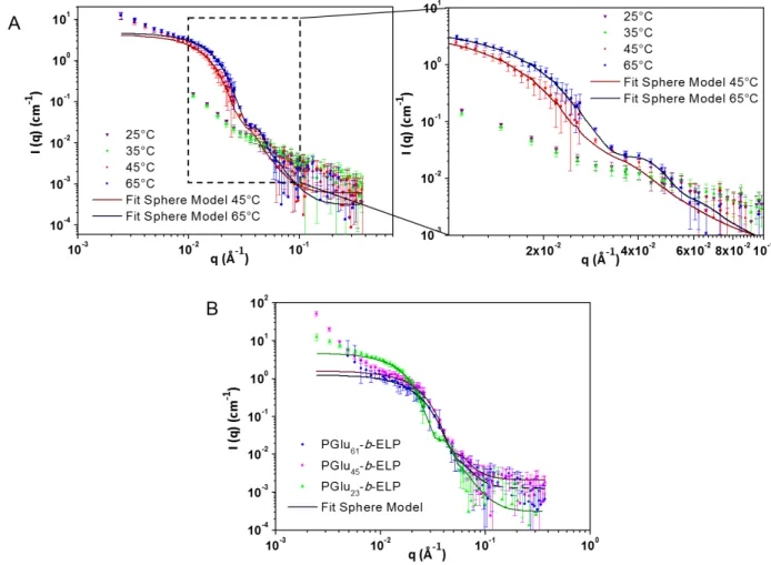 Figure 6.  Small-angle neutron scattering of solutions of PGlu-b-ELP  diblock copolypeptides  prepared at 1 mg.mL -1  in D 2 O-PBS