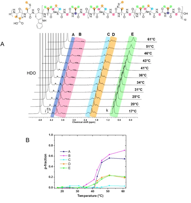 Figure 7. (A)  1 H NMR spectra of PGlu 23 -b-ELP in D 2 O-PBS (1 g.L -1 ) at various temperatures