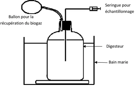 Figure 20.  Dispositif expérimental pour la digestion des déchets ménagers   III.2.2 Substrat  