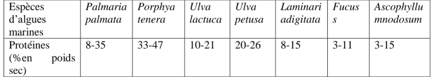 Tableau 1 : Contenu en protéines de différentes algues marines utilisées en industries  alimentaires, d’après Fleurence (1999) 